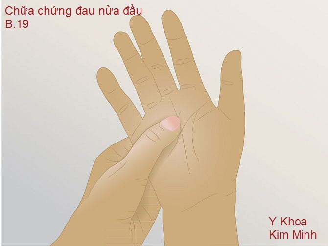 Tập phản xạ l&aacute; gan tr&ecirc;n b&agrave;n tay bằng bấm day huyệt đạo