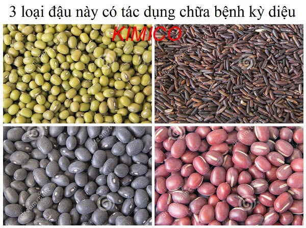 Tác dụng của đậu đen xanh lòng chữa bệnh gì?