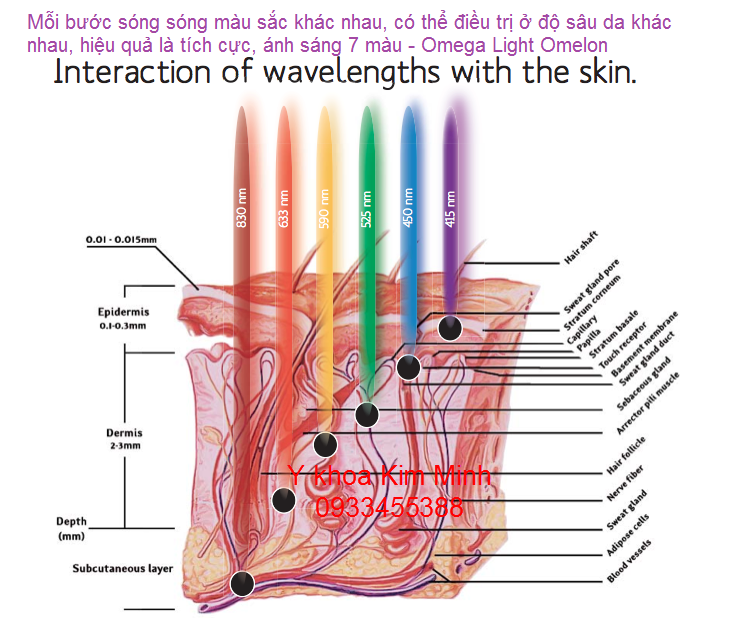 Cong dung cua den anh sang sinh hoc 7 mau Omega Light Omelon Kim Minh ban tai tp hochiminh 0933455388