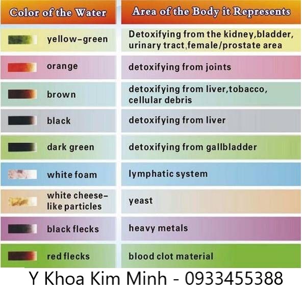 Bản xem màu nước của máy ngâm chân thải độc