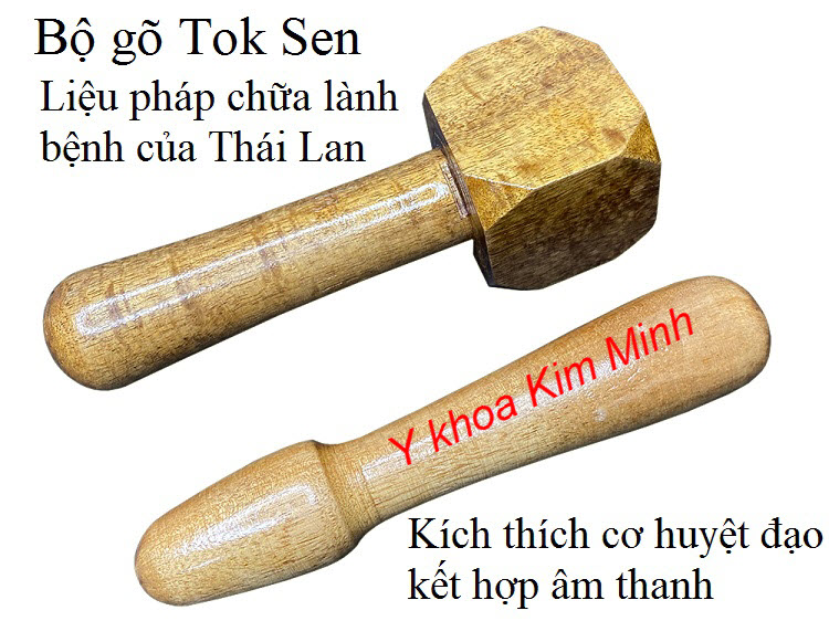 Bộ gõ huyệt đạo Tok Sen theo liệu pháp chữa lành bệnh cơ xương khớp Thái Lan - Y khoa Kim Minh
