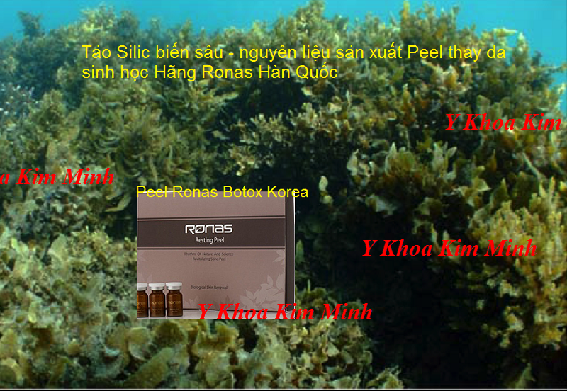 Tảo biển silic biển sâu - nguyên liệu làm ra Peel Ronas - Y Khoa Kim Minh Peel Ronas vi kim tảo biển thay da sinh học Hàn Quốc bán tại Y khoa Kim Minh