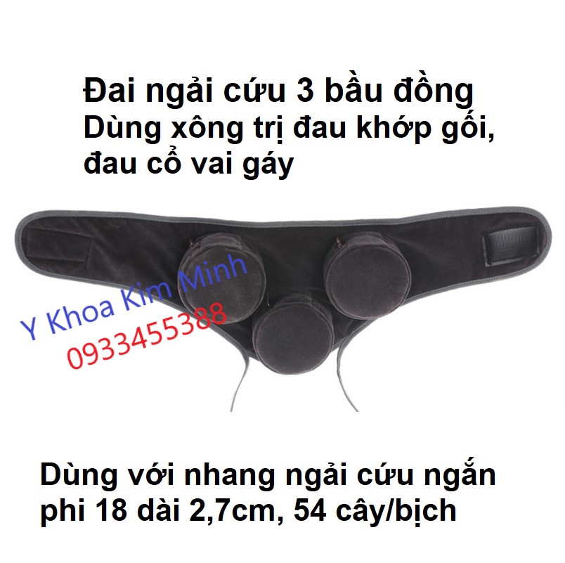 Đai ngải cứu trị đau khớp 3 bầu đồng