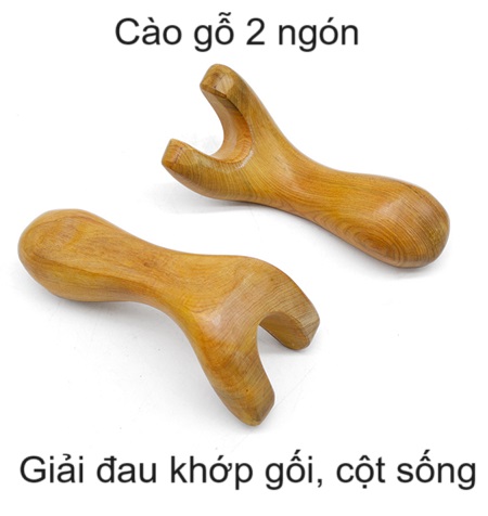 Cây cào gỗ 2 ngón giúp giảm đau khớp cột sống và khớp gối