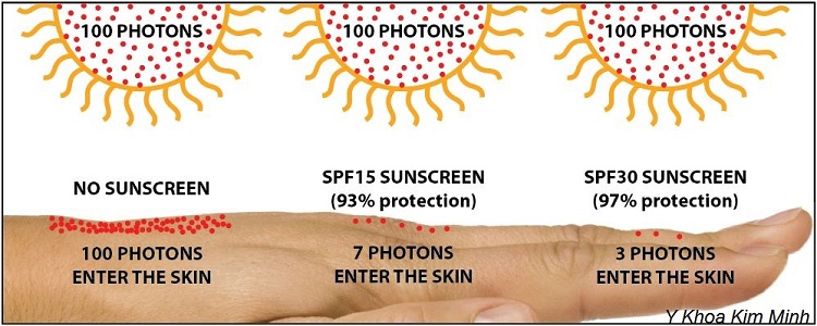 Kem chong nang Sun Cream Dr Vita SPF 50+ Korea Hàn Quốc Y Khoa Kim Minh
