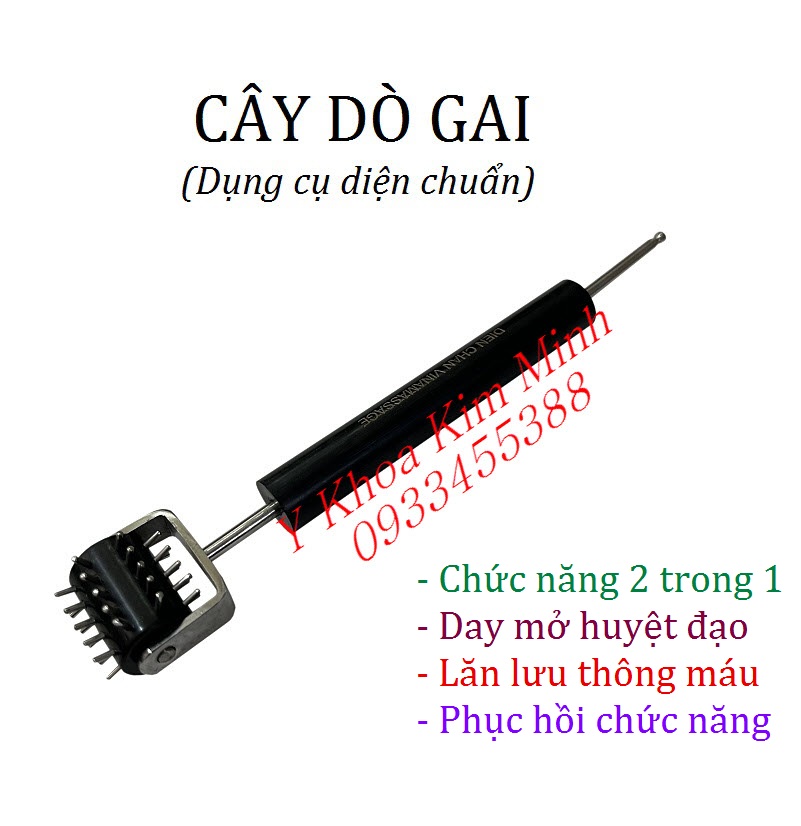 Cây dò gai bán ở Tp.HCM