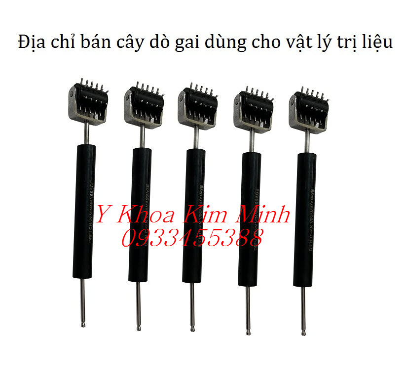 Cây dò gai dùng trong đông y trị liệu bán ở Kim Minh