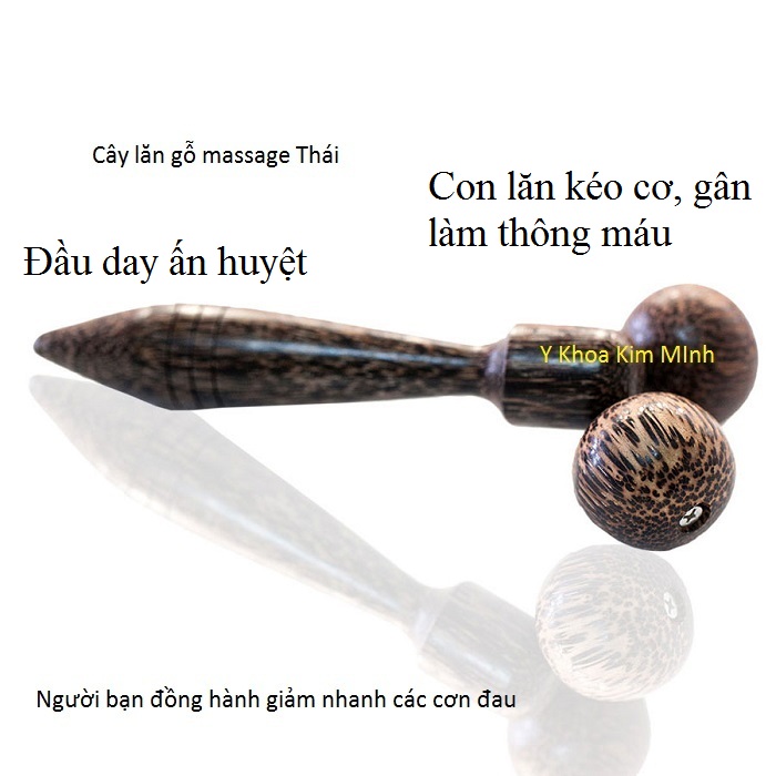 Dùng tinh dầu ngải cứu + cây lăn gỗ Thái Lan giúp giảm các cơ đau cơ khớp và làm mềm gân, dây thần kinh ngoại biên - Y khoa Kim Minh