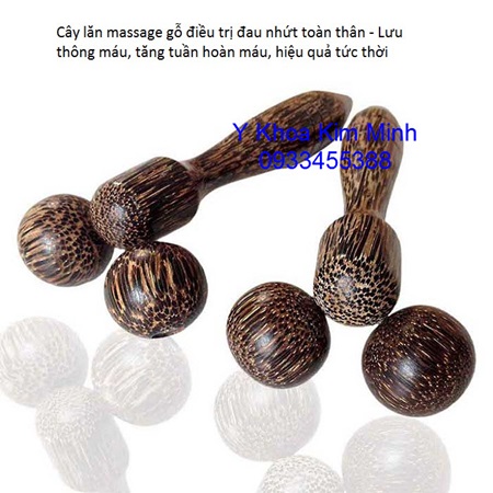 Cây lăn thái dùng làm mềm gân, giảm đau chân tay