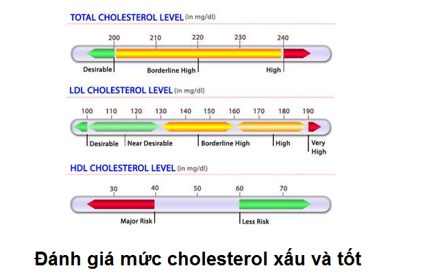 Muc danh gia cholesterol xau LDL va cholesterol tot HDL Y Khoa Kim Minh