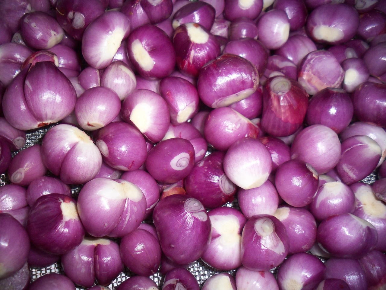 Chữa b&iacute; thận bằng củ h&agrave;nh t&iacute;m cần t&acirc;y Y Khoa Kim Minh