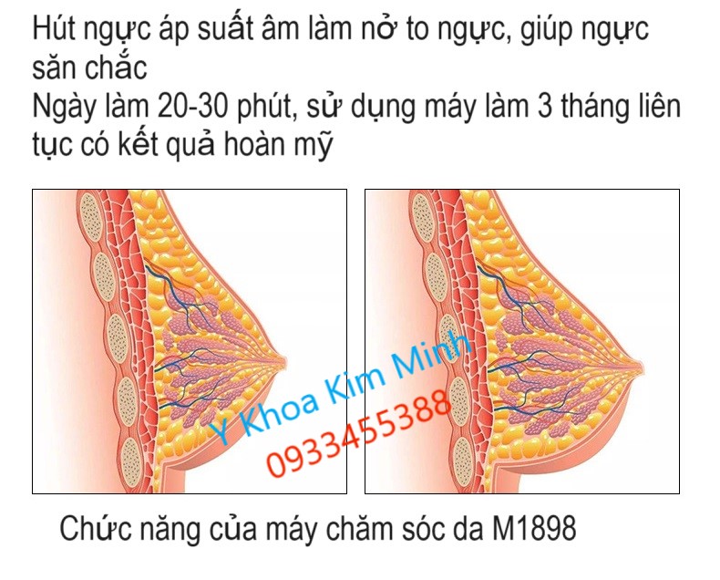 Chức năng hút ngưc làm to ngực giúp ngưc săn chắc của máy chăm sóc da M1898