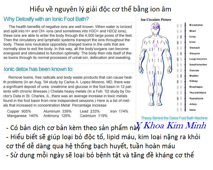 Máy đào thải độc tố ion âm là gì, nguyên lý hoạt động của ion âm với sức khoẻ con người - Y Khoa Kim Minh