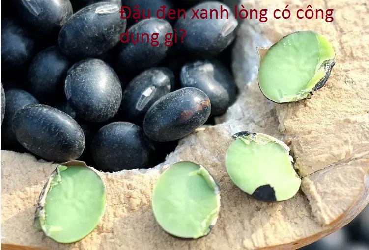 Đậu đen xanh lòng có công dụng chữa bệnh gì