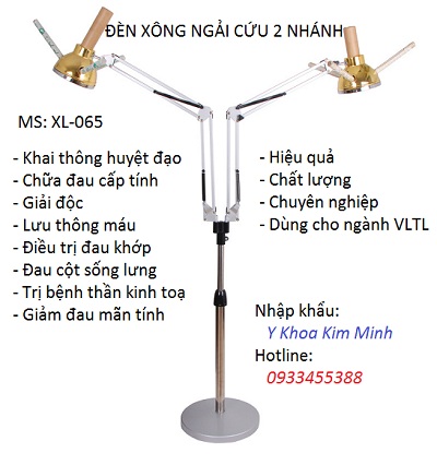 Den dot xong ngai cuu 2 nhanh - Y khoa Kim Minh