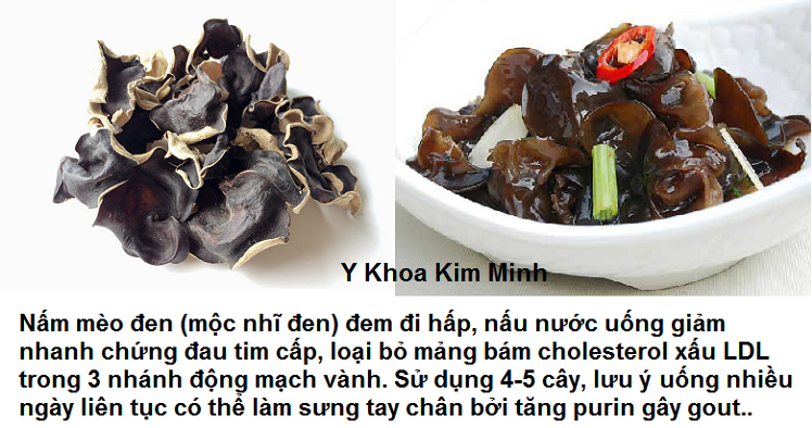 Dieu tri giam cholesterol xau LDL bang thuc pham nam meo den moc nhi den Y Khoa Kim Minh