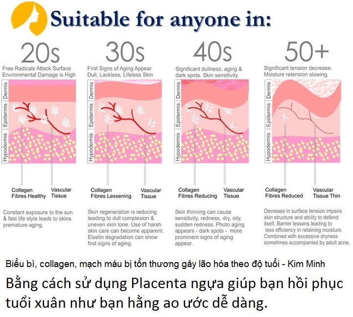 Điều trị da tổn thương lão hoá bằng tế bào gốc placenta nhau thai ngựa Nhật Bản - Y Khoa Kim Minh