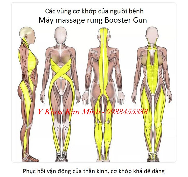 Máy điều trị đau cơ khớp và thần kinh, máy massage Booster Gun 5 đầu - Y Khoa Kim Minh