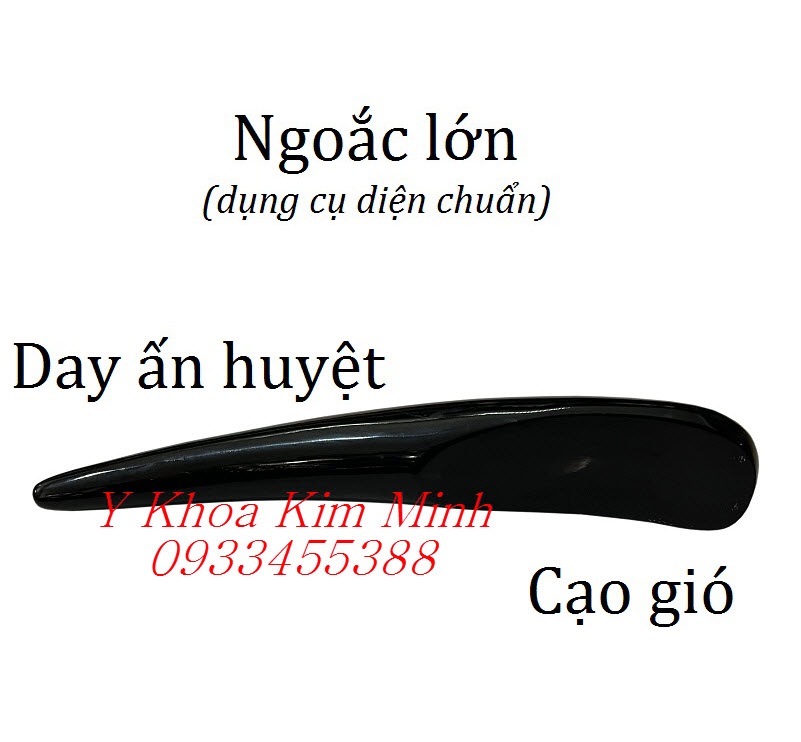 Ngoắc lớn cây cao gió day ấn huyệt bằng sừng
