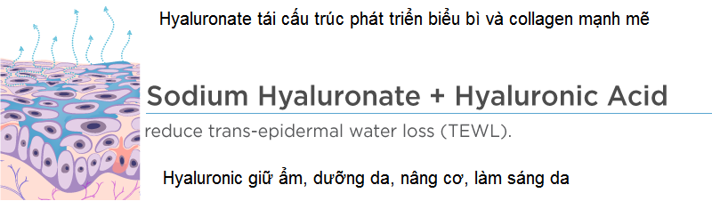 Duong chat te bao goc di lan kim tai tao da tao xoan Y Khoa Kim Minh nhap khau tu Nhat