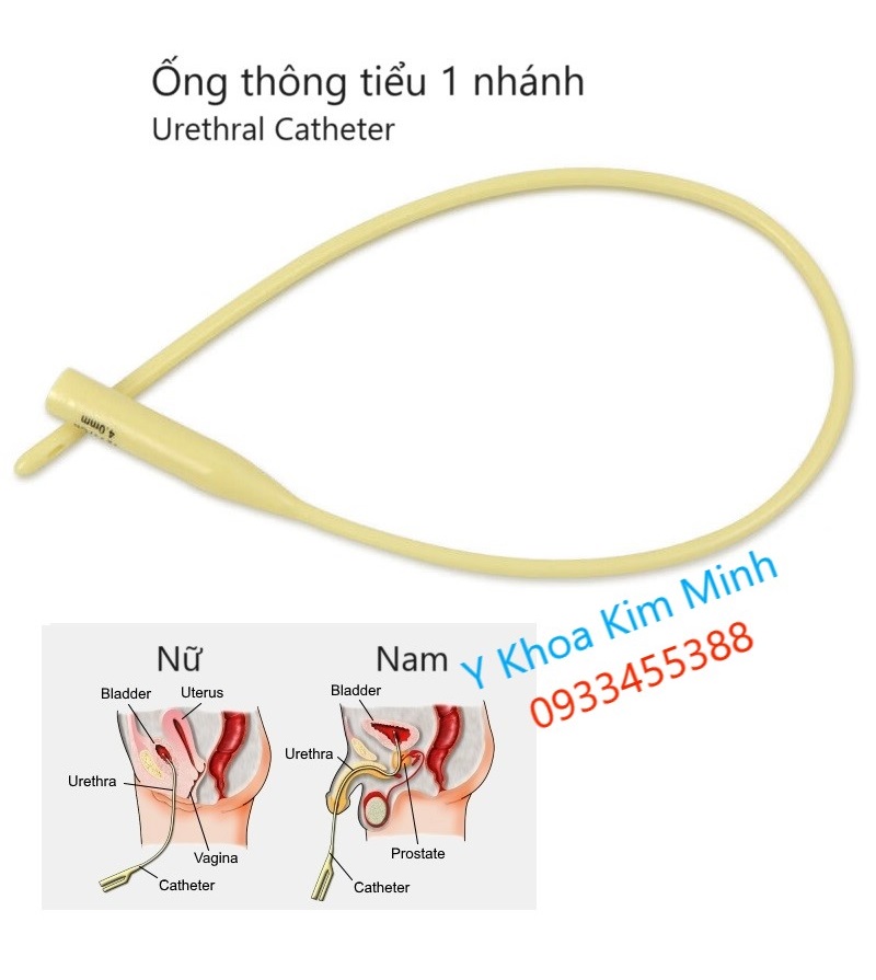 Ống thông tiểu 1 nhánh dùng cho nam / nữ bán ở Tp.HCM