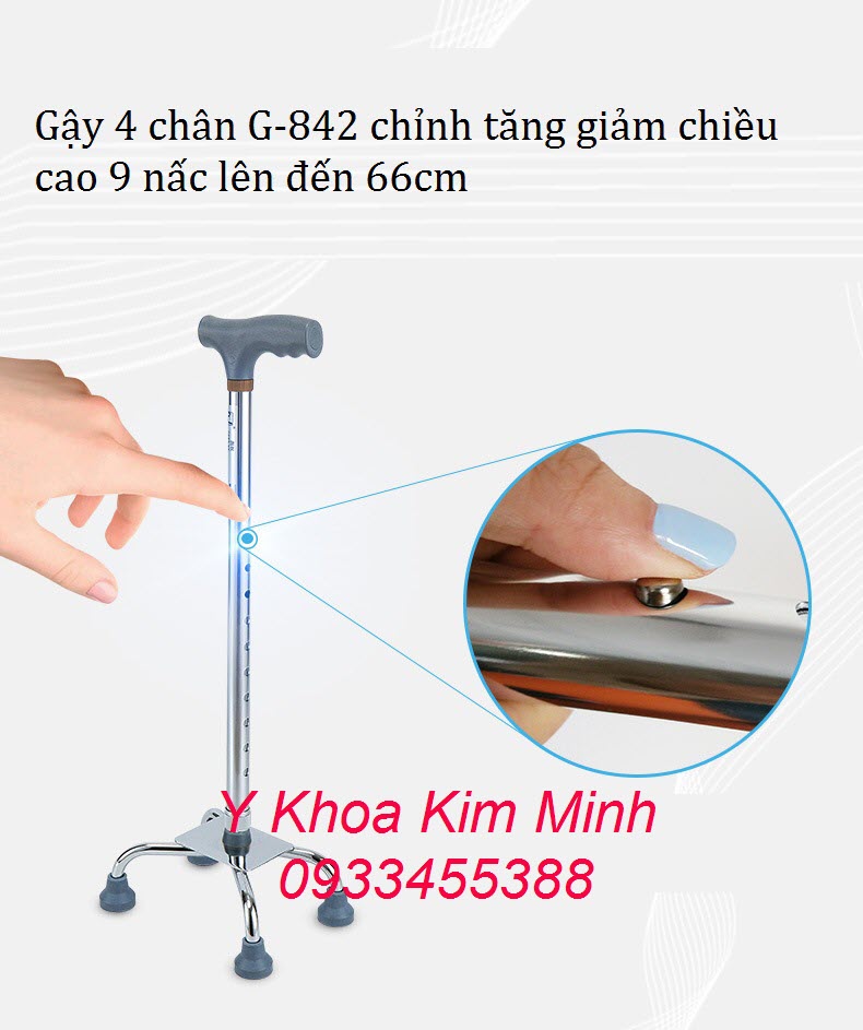 Gậy 4 chân G-842 có tăng giảm chiều cao lên đến 66cm Gậy 4 chân G-842 có tăng giảm chiều cao phù hơp cho người già