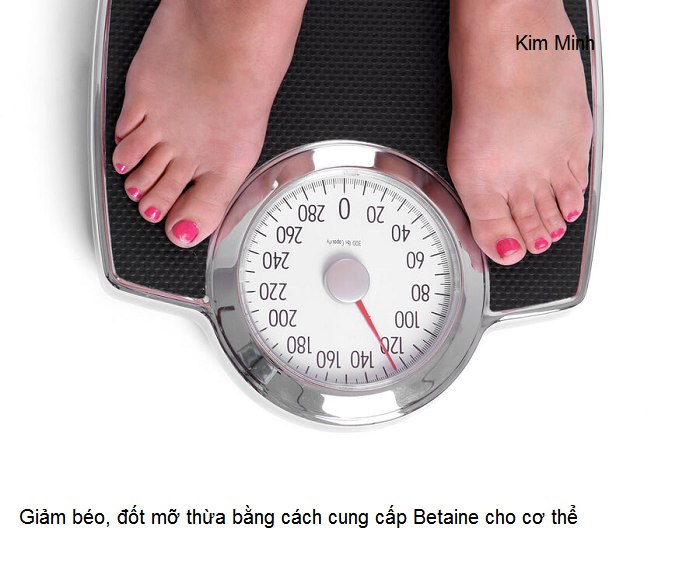 Giam beo bang cach cung cap Betaine cho co the Y Khoa Kim Minh