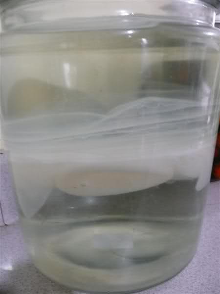 la binh bat sao voi giam nuoi chua benh tri noi tri ngoai Y khoa Kim Minh