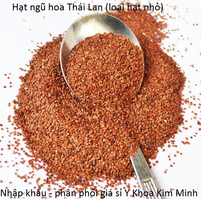 Hạt ngũ hoa Thái Lan hạt nhỏ chất lượng nhập khẩu bán giá sỉ tại Tp Ho Chi Minh - Y Khoa Kim Minh