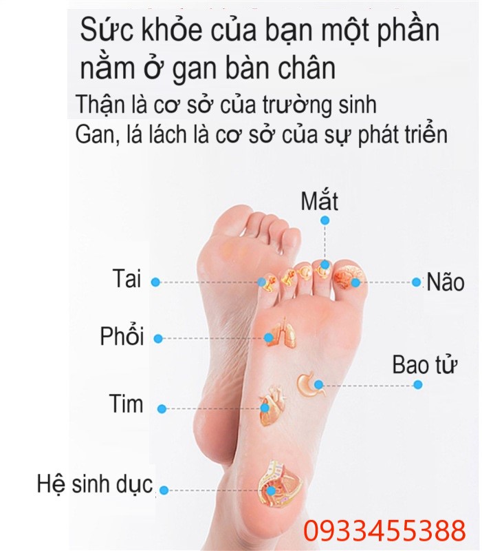 Huyệt đạo bàn chan của con người