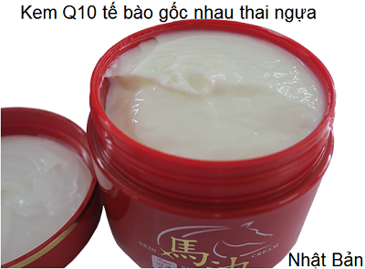 Kem Q10 nhau thai ngựa Hokkaido chong nhan dieu tri da lao hoa Nhat Ban Kim Minh