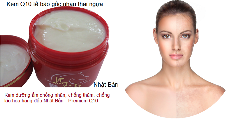 Kem duong da chong nhan chong lao hoa Nhat Ban Premium Q10 - Y khoa Kim Minh