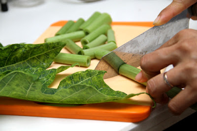 chữa ung thư bằng l&aacute; đu đủ