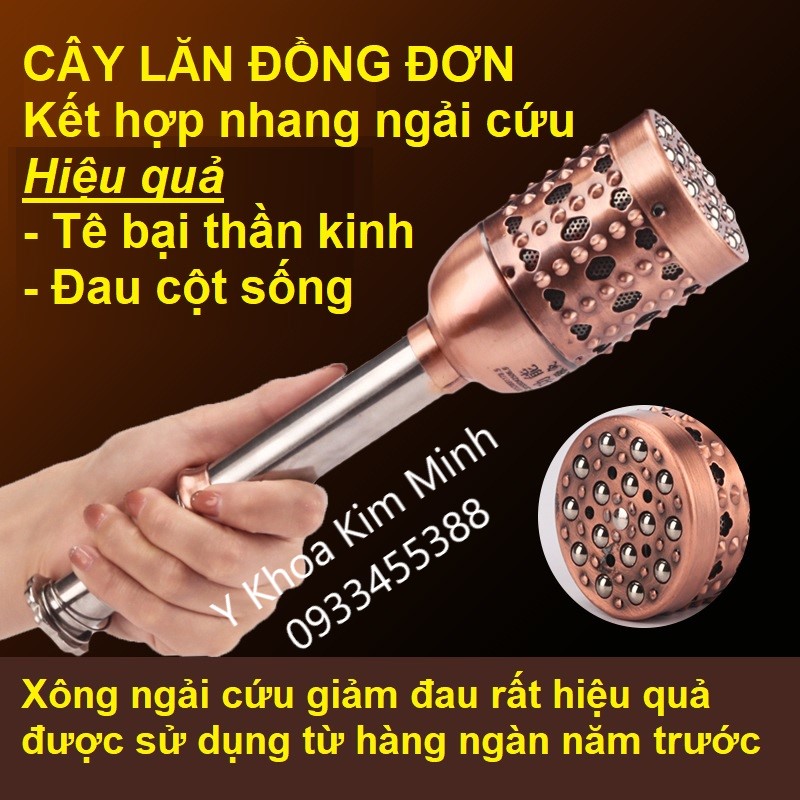 Cây lăn đồng đơn bán giá sỉ ở Tp.HCM