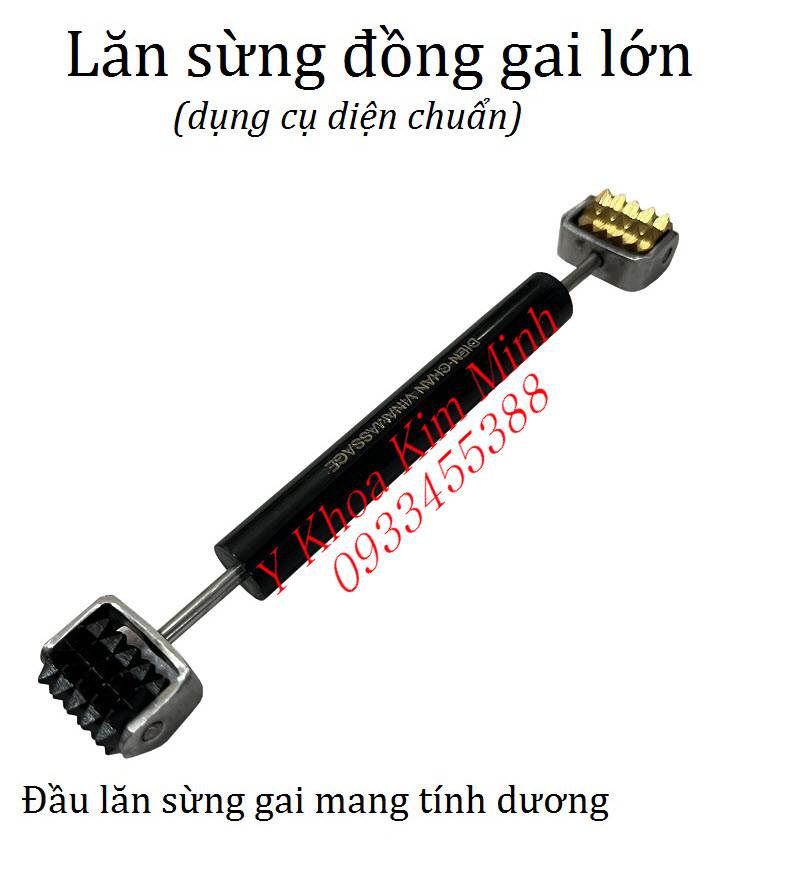 Lăn sừng đồng gai giúp giảm huyết áp, giảm đau nhức, giảm tê bại, lưu thông khí huyết