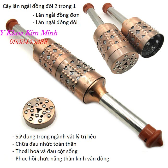 Lăn ngải cứu đồng đơn và đồng đôi bán tại Tp Hồ Chí Minh - Y Khoa Kim Minh Cây lăn ngải cứu đồng đơn, đồng đôi bán tại Tp Hồ Chí Minh - Y Khoa Kim Minh