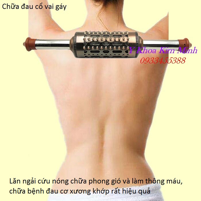 Lăn ngải đồng đôi chữa bệnh đau cổ vai gáy - Y khoa Kim Minh Cây lăn ngải cứu đồng đôi bán ở đâu chất lượng và hiệu quả - Y Khoa Kim Minh