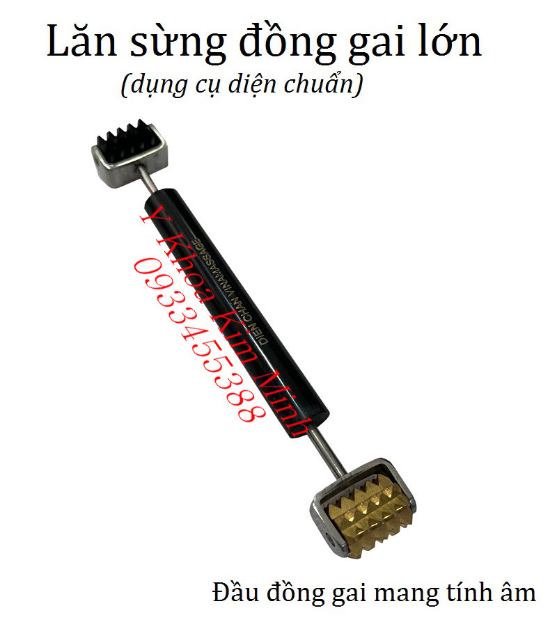 Lăn sừng đồng gai lớn bán giá sỉ ở Kim Minh - TP.HCM