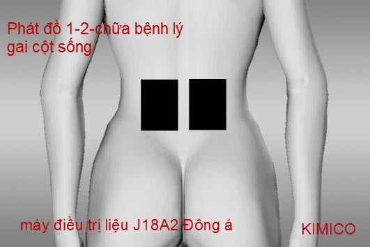 M&aacute;y điều trị gai cột sống lưng - Trị liệu đ&ocirc;ng &Aacute; J18A2 ph&acirc;n phối bởi Y Khoa Kim Minh
