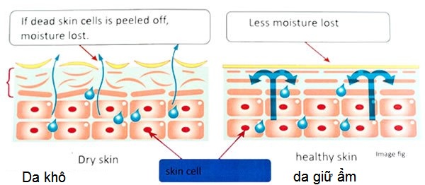 May cham soc da nong lanh Hitachi CM N3000 ph&acirc;n phoi gia si tai dia chi Y Khoa Kim Minh