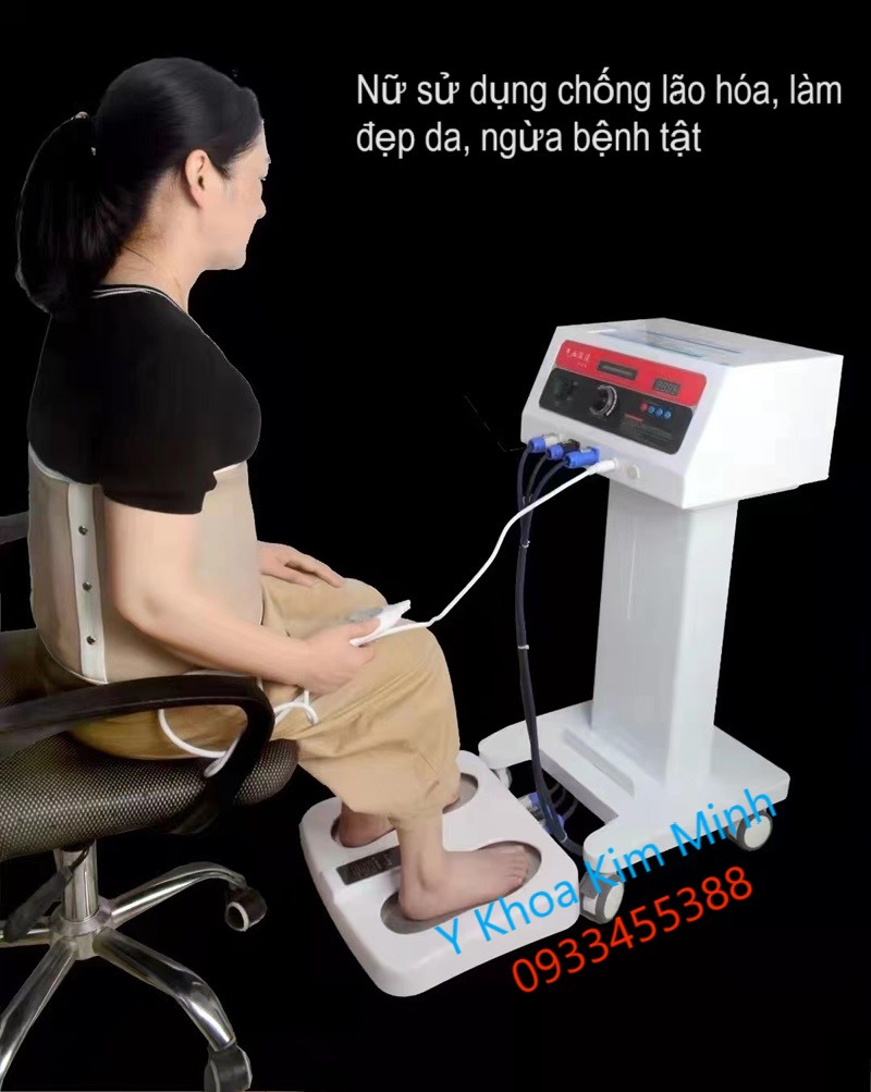 Đả thông kinh lạc điều hòa khí huyết tăng tuần hoàn máu