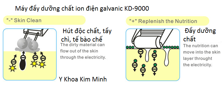 Máy chăm sóc da mini ion galvanic KD-9000