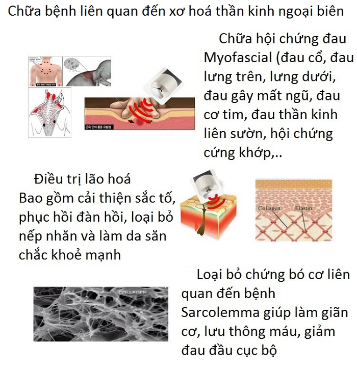 Máy điều trị bệnh xoa hoá thần kinh ngoại biên và kích thích xung điện não KT-019 - Y Khoa Kim Minh