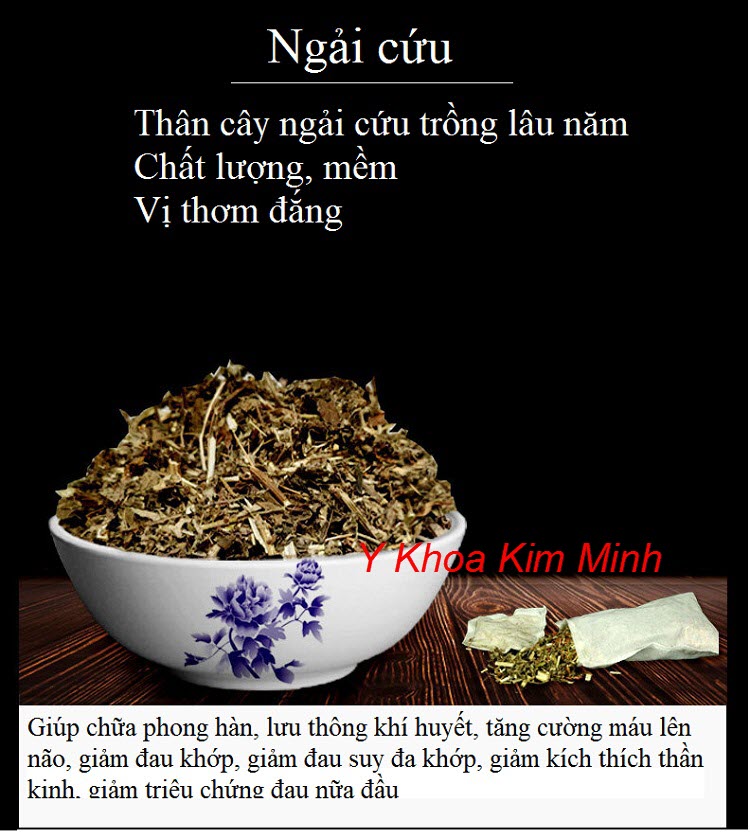 Công dụng của cây ngải cứu chữa bệnh - Y khoa Kim Minh