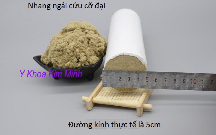 Nhang cham cuu co dai dung trong cham cuu co xuong khop - Y Khoa Kim Minh