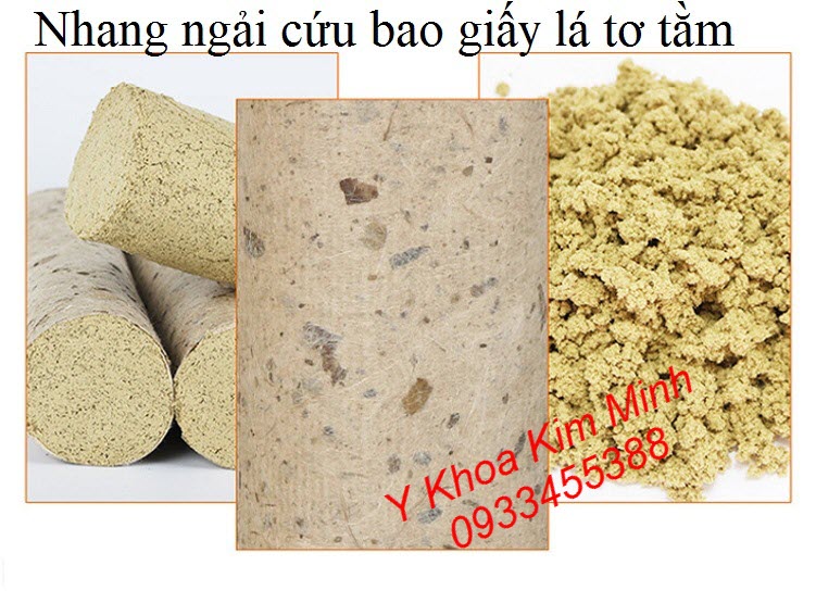 Nhang ngai cuu tri dau co xuong khop, viem khop goi - Y khoa Kim Minh