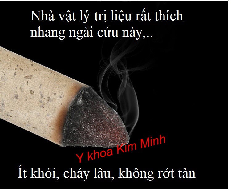 Nhang ngai cuu chuyen dung dieu tri viem khop goi, dau co xuong khop - Y khoa Kim Minh