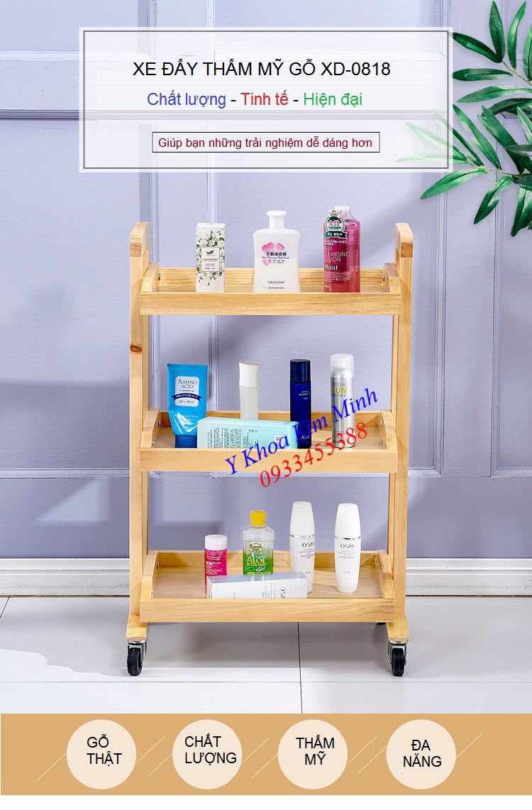 Noi ban xe day, giuong tham my spa go va inox tai Tp Ho Chi Minh - Y Khoa Kim Minh 0933455388