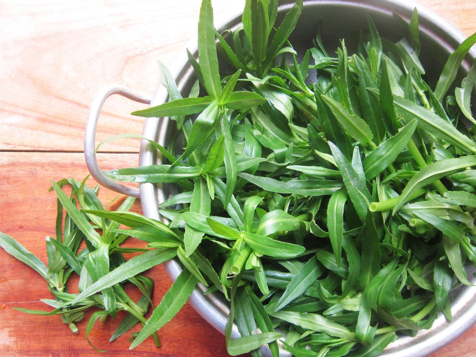 rau ngổ và những công dụng tuyệt vời