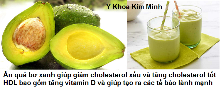 Dung qua bo giup giam cholesterol xau LDL va tang cholesterol tot HDL Y Khoa Kim Minh